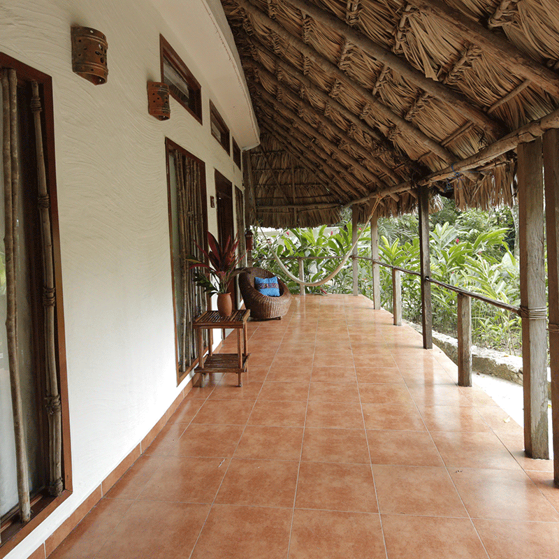 Hoteles cerca de Palenque